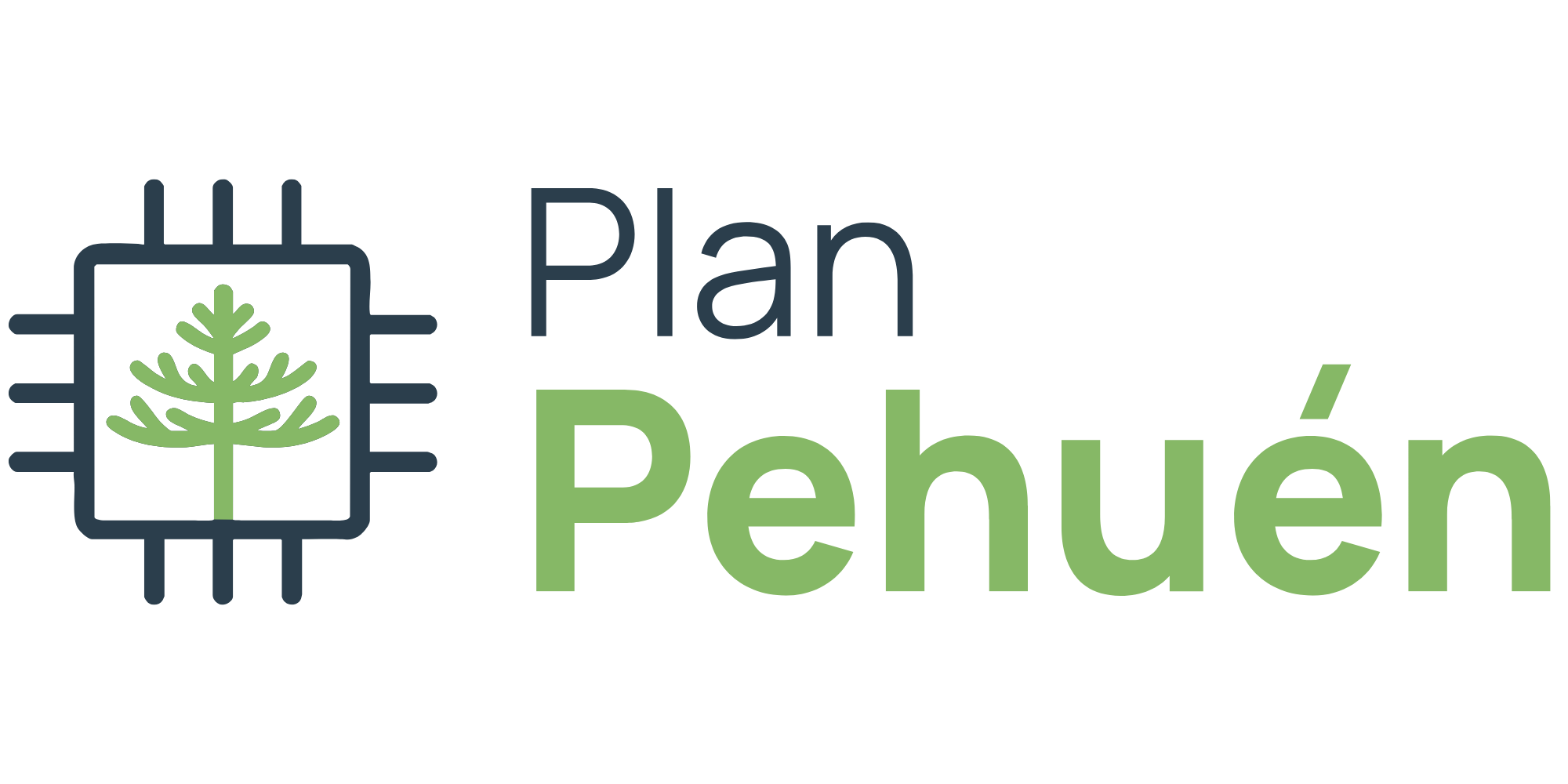 Plan Pehuén